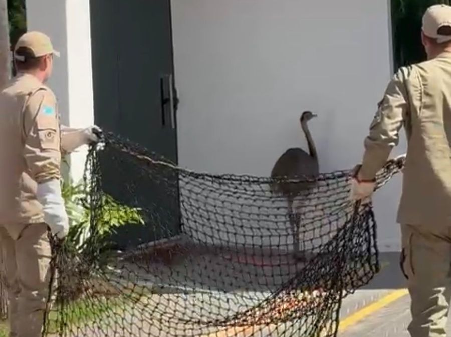 Center whatsapp image 2026 03 01 at 19.15.46